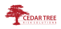 Cedar Tree